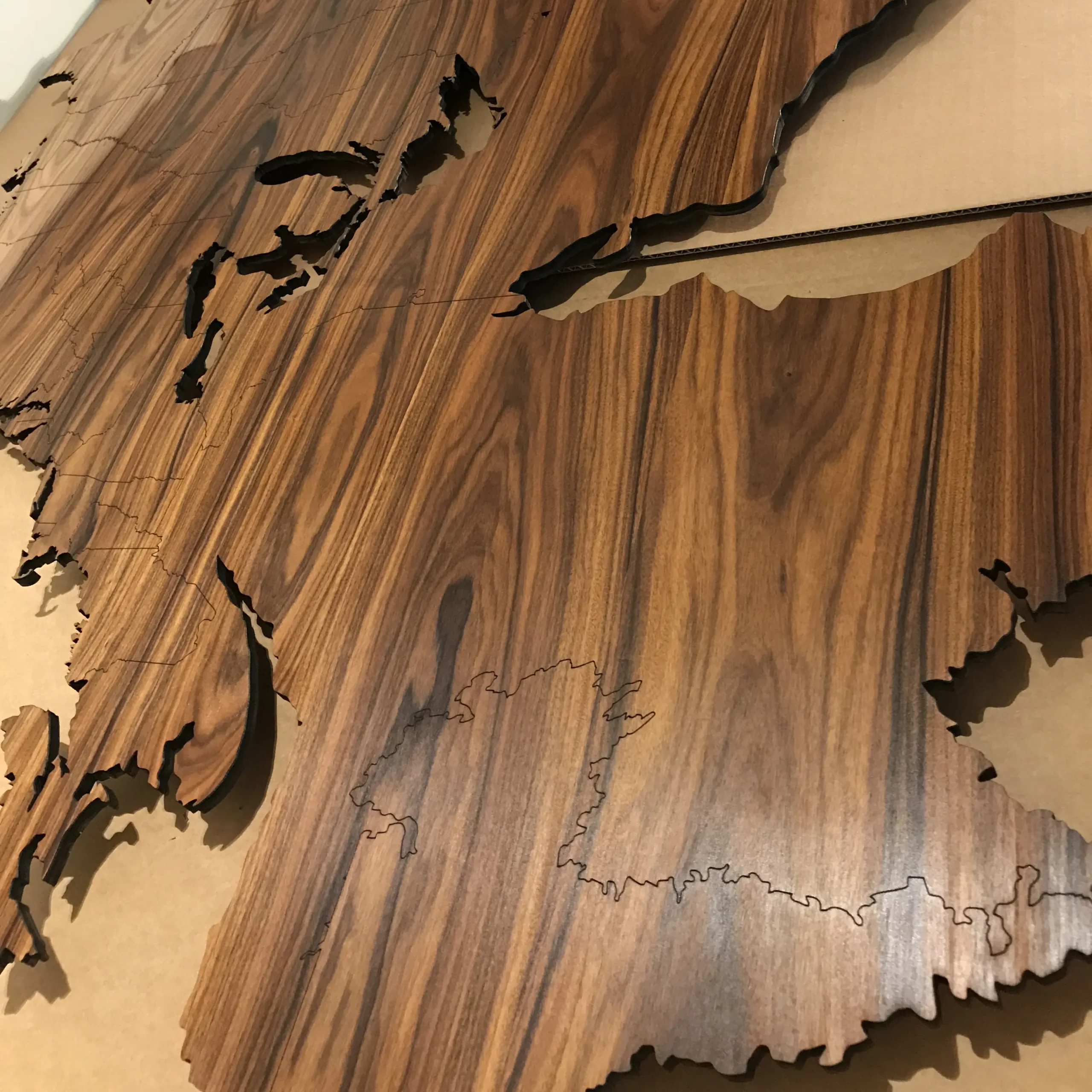 Close-up United States map Rosewood Santos with state borders